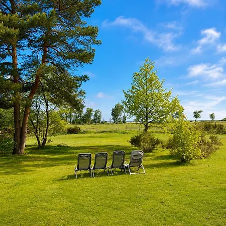 Ferienhaus am Nationalpark, Fischland Darß Zingst, großer Garten, Kamin, Terrasse, 3 SZ